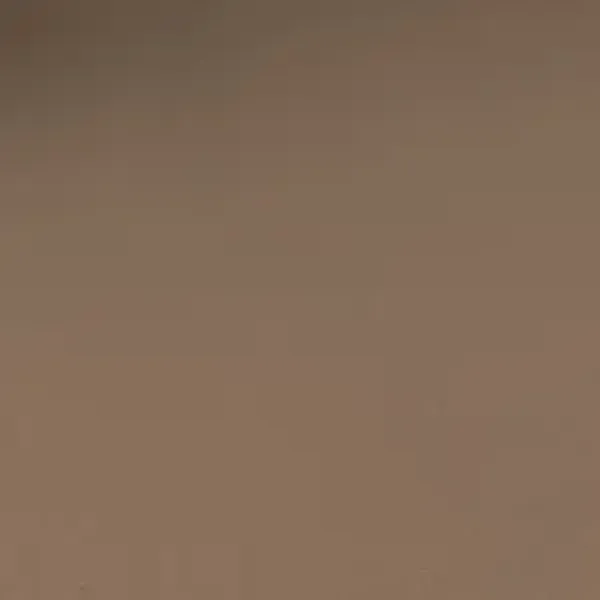 Vorwerk Bingo Teppichboden Farbe 8F91  – Raumansicht mit Struktur und Farbton